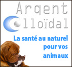 La santé au naturel pour vos animaux