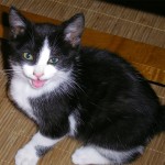 Cillian
