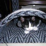 Cillian