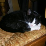 Cillian