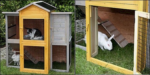 Clapier pour rongeur First Class