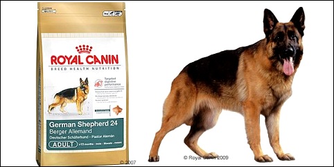 Croquettes chien Royal Canin pour berger allemand