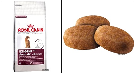 Croquettes Royal Canin