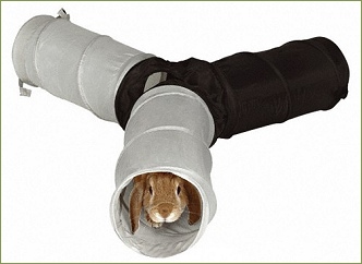 Double tunnel pour rongeur