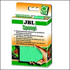Eponge de nettoyage pour terrarium