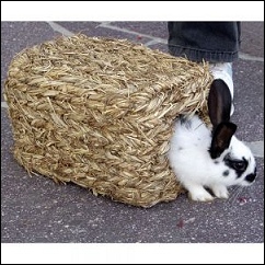 Maison en herbe séchée pour rongeurs