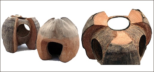 Maison en noix de coco pour rongeurs
