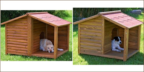 Niche chien Natura avec terrasse