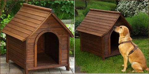 Niche chien Spike Classic