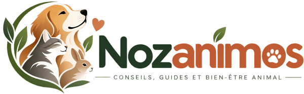 Nozanimos — Conseils, guides et bien-être animal