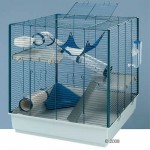 Cage pour furet