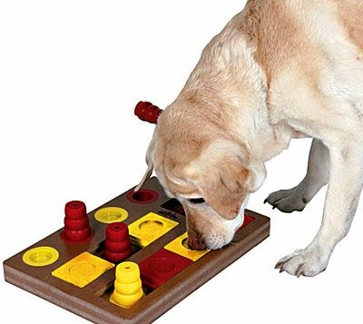 jouets_occupation-chien