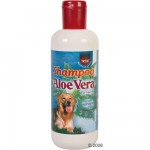 Shampooing pour chien