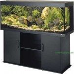 Aquarium et son meuble