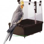 Baignoire pour perruches
