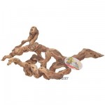 Branche pour cage à oiseau