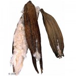 Duvet pour nid d'oiseau