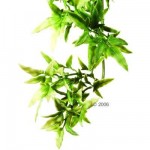 Plantes artificielles pour terrarium