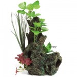 Racine pour aquarium