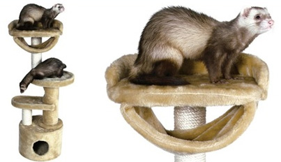 arbre-a-grimper-furet