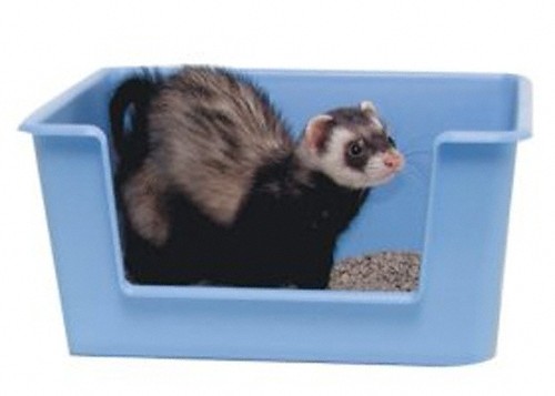 bac-a-litiere-rectangulaire