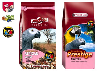 nourriture-perroquet-afrique