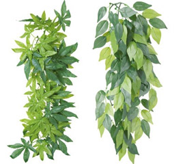 plantes-en-tissu-terrarium