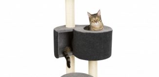 Nozanimos Pour Le Bonheur De Vos Animaux