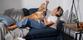 Comment afficher son amour des chiens partout dans la maison et au quotidien ?