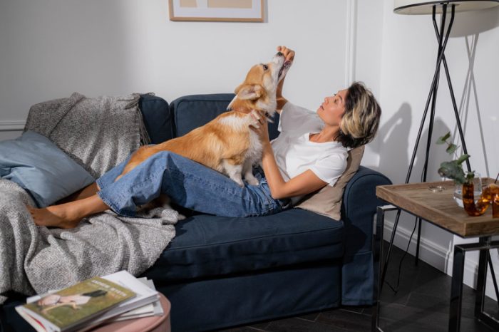 Comment-afficher-son-amour-des-chiens-2